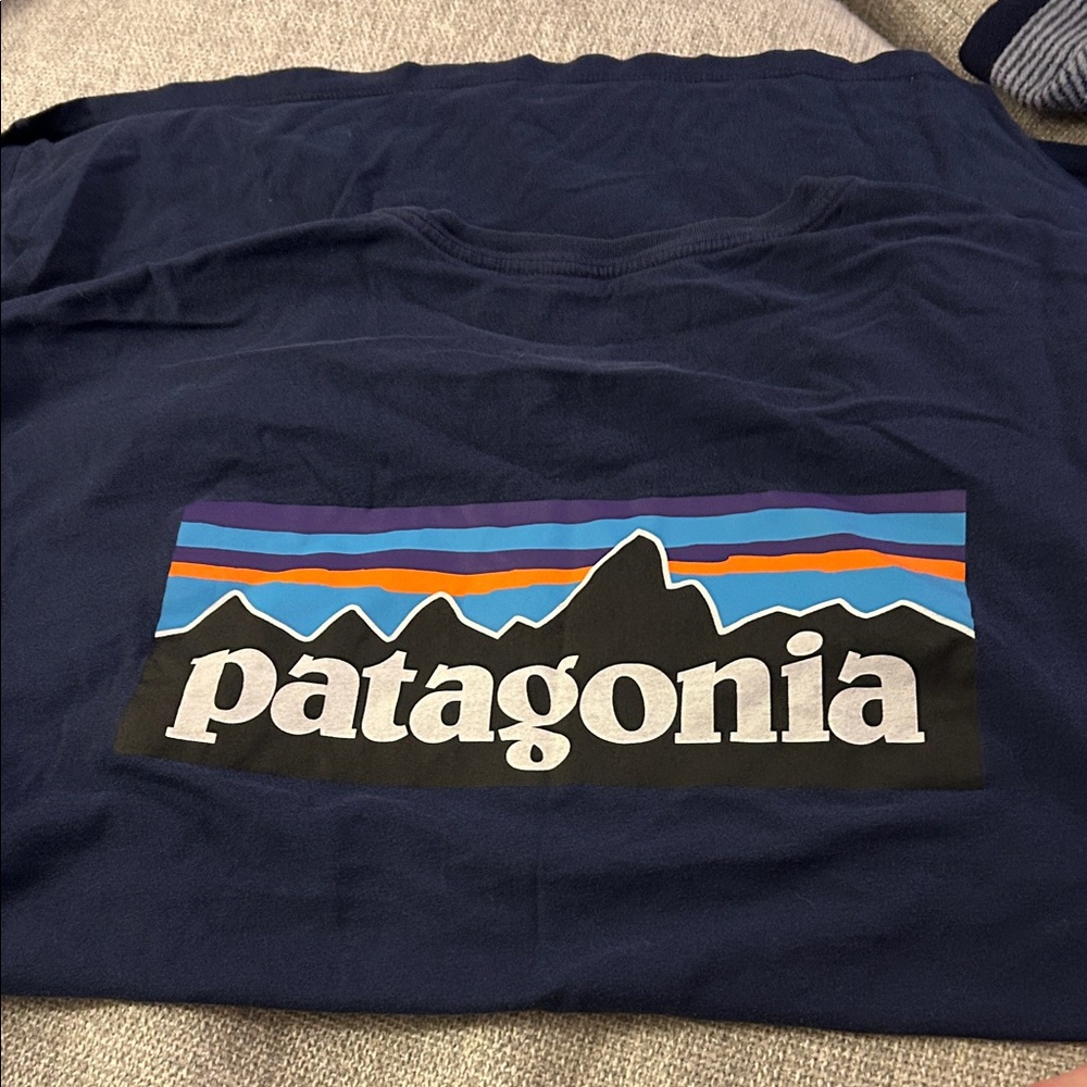 Patagonia Dark Blue Tee with Vibrant Graphic